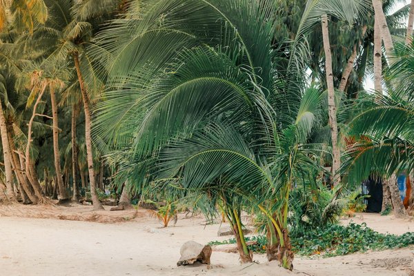 Discover the Enchantment of Traditional English Christmas Markets: Your Ultimate Festive Adventure Guide