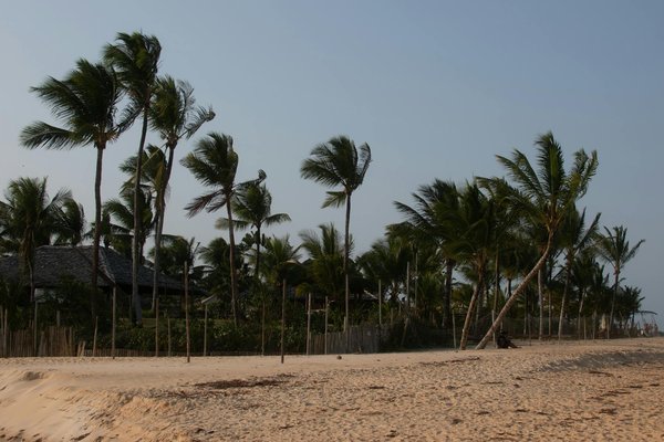 Uncover the Best UK Cruises for Enchanting Folklore and Epic Adventures